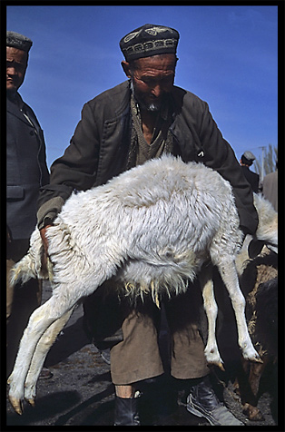 Portrait of Uyghur man. Hotan, Xinjiang, China