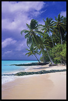A holiday on one of the many Maldives islands offers good all inclusive hotels on resorts with white sand beaches.